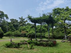 -东莞植物园