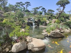 -罗红摄影艺术馆