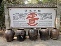 -北海金海湾红树林生态旅游区