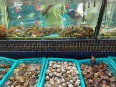 波士顿龙虾-海大大蒸汽海鲜餐厅·粤菜·特色小炒(欢乐颂店)