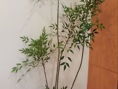 -云端咖啡(山顶教堂店)