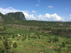 景点从古至今这些都是免费的-钟山水墨田园
