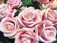 -植物学家的女儿(北马道巷店)