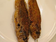 -龚海宝· 烧烤· 羊肉原切挂糊更好吃(庄市店)