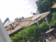 -亚特兰蒂斯·蟹餐厅 CRAB KITCHEN·鲜活海鲜