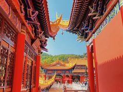 -东莞市大岭山森林公园