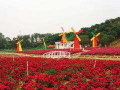 -松山湖梦幻百花洲