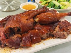 -姚林轩