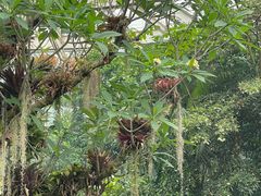 -昆明植物园