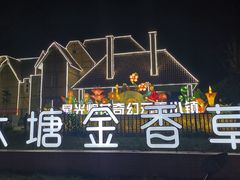 -大塘金香草谷