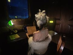 -武汉知音号