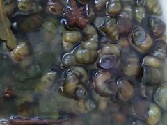 -水库活鱼馆(于桥水库店)