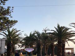 -Cafe Aewol Monsant