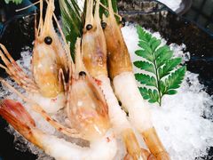 -真剑日本料理·铁板烧(贵州路店)