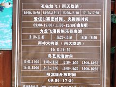 -西双版纳原始森林公园