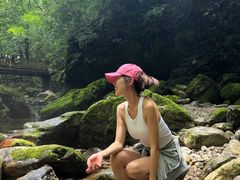 -牛背梁国家森林公园