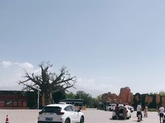 -新疆天山野生动物园