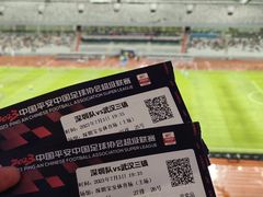 -深圳市宝安体育中心体育场