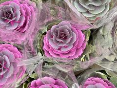 -信基豪泰酒店用品城