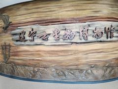 -辽宁古生物博物馆