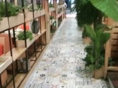 -四季合味椰子鸡(南山大冲店)