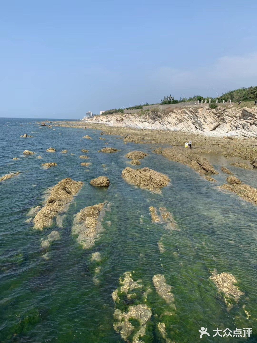 打卡✅抖音网红养马岛🌊🌊