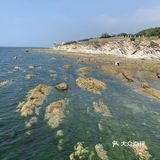 打卡✅抖音网红养马岛🌊🌊