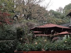 -三嚥阁 La Villa Restaurant