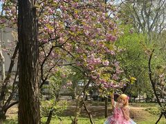 -武汉大学-樱园
