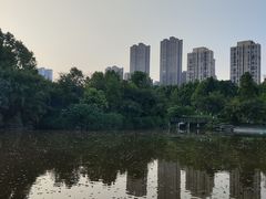 -龙头寺公园