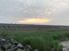 -南汇嘴观海公园