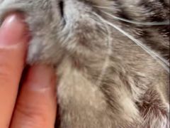 -全心全意连锁动物医院·特色中医诊疗(会城门分院)