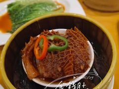 柱侯金钱肚-弘雅饭店
