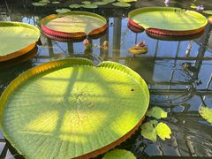 -国家植物园南园