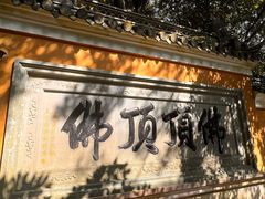 -普陀山慧济禅寺