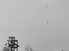 -野鸭湖国家湿地公园