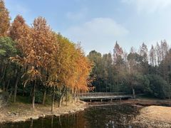 -长广溪湿地公园