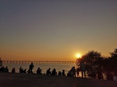 -宝安西湾红树林湿地公园