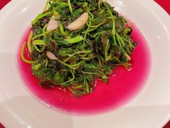 -老吉士酒家(天平路店)