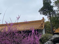 -浙江省博物馆(孤山馆区)