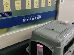 -申普宠物医院·心脏介入·心血管微创(总院)