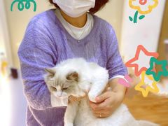 -COLOR PETS 撸猫馆·购猫·猫咖(长风大悦城店)