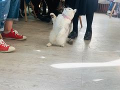 -小时光咖啡馆(北锣鼓巷店)