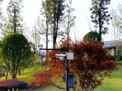 -枫香湖儿童公园