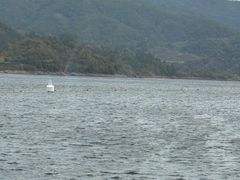 -浔味·山屿湖·正宗淳牌全鱼宴老字号