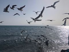 -青海湖二郎剑景区