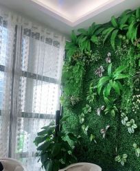 -苗医生草本科技祛痘