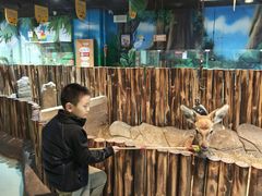 -萌宠奇缘(荣鼎店)