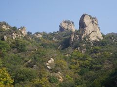 -大岭沟猕猴桃谷风景区