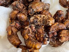 -北京龙庆四季香农家饭庄·灶台鱼·碳烤虹鳟鱼(龙庆峡店)